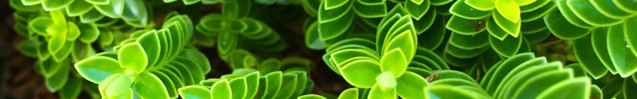 marketing, growth, marketing strategy, solicitors, law, market research, insights, innovation, social media marketing